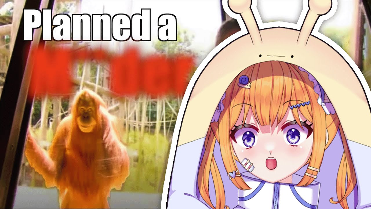 Are Orangutans SMARTER than HUMANS? | Snail Vtuber reacts to Casual Geographic