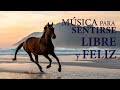 Musica Instrumental para Liberar Tu Mente y Encontrar la Felicidad - FEEL FREE!