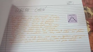 Principles of Management on D-Mart Class 12 Term-1 project (part-2)