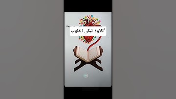 خشوعٌ يلامس القلب - تلاوة تهز الوجدان 💔✨" #الجميع