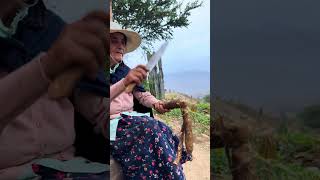 Después de tanto esfuerzo… esto salió de mi chacra 🥔