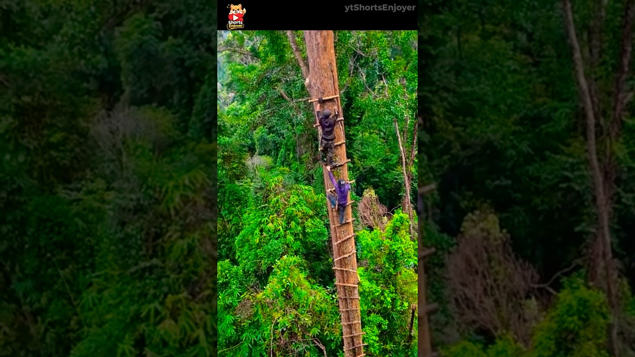 Building a Ladder to Reach a Jungle Tree Shelter (Part 2) 🪜