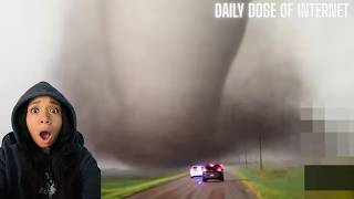 AngelReacts to Daily Dose Of Internet - Craziest Nature Videos of the Decade #dailydose  #angelflame