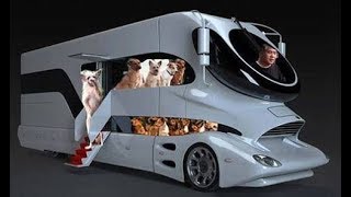 キャンピングカーで沖縄を満喫 毎日が幸せだと感じる生き方、旅の暮らし