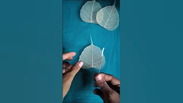 How To Make Skeleton Leave Colourful Skeleton Leaves Shorts 