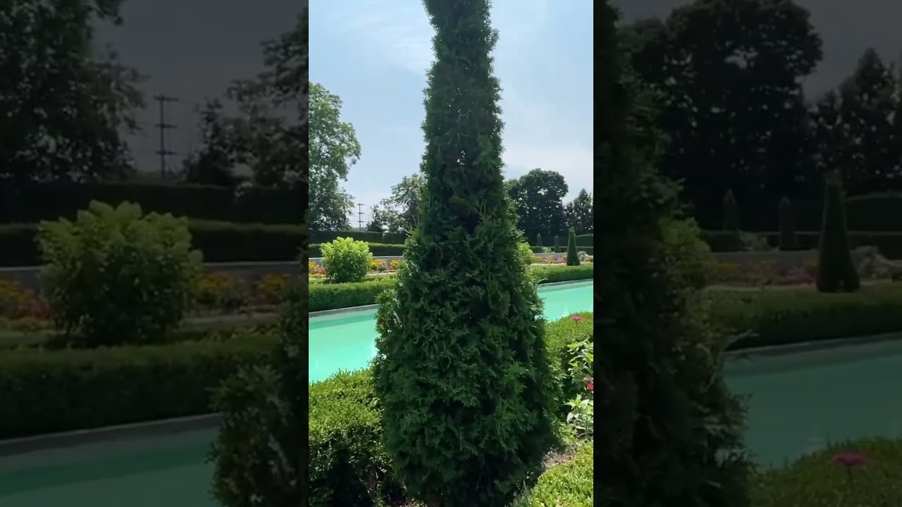 Walk through a magical garden inspired by Barbie 