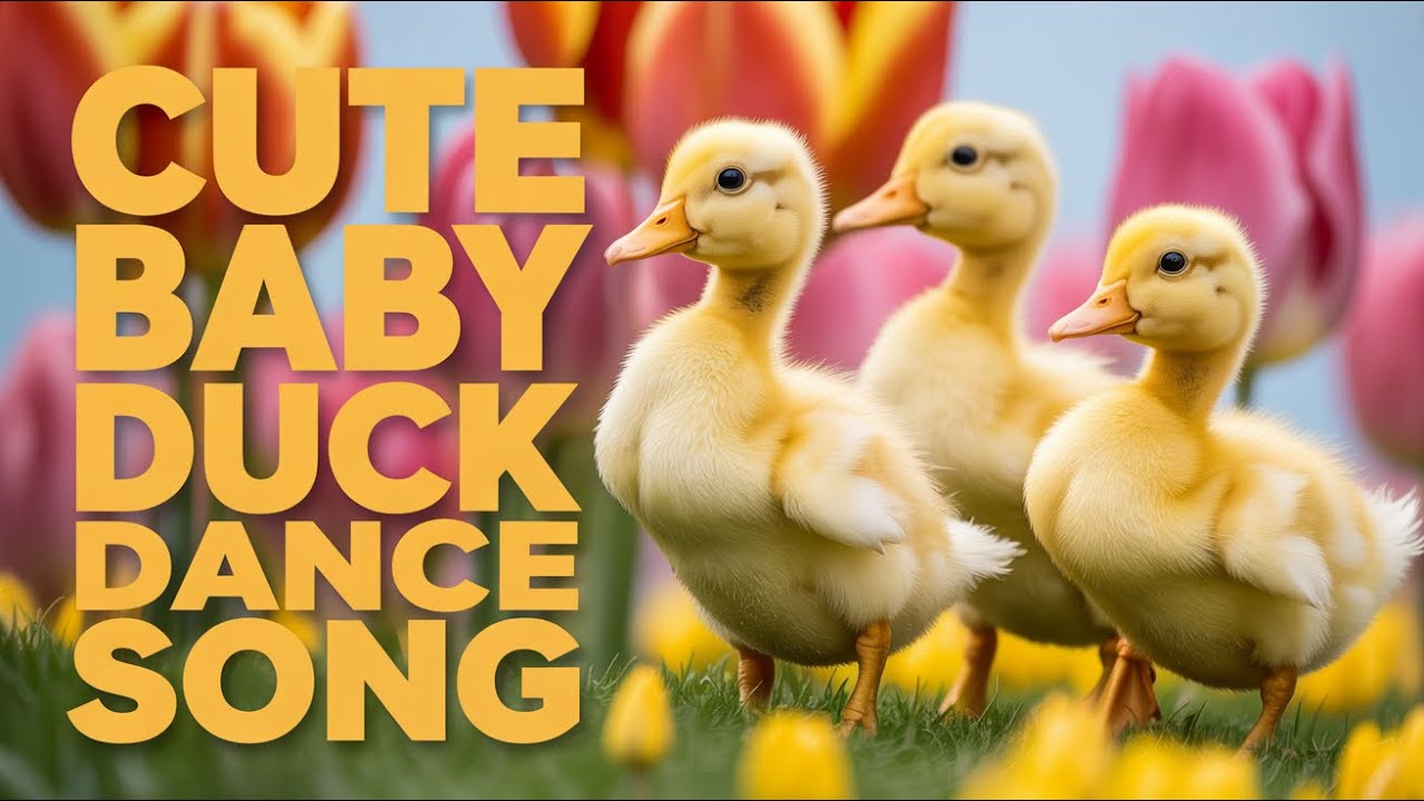 Dancing Ducks English Song | Fun Kids Nursery Rhyme with Happy Quack Quack for Toddlers
