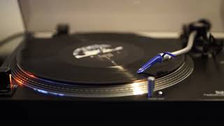 Gilla Band - Placeholder & Alogia - vinyl