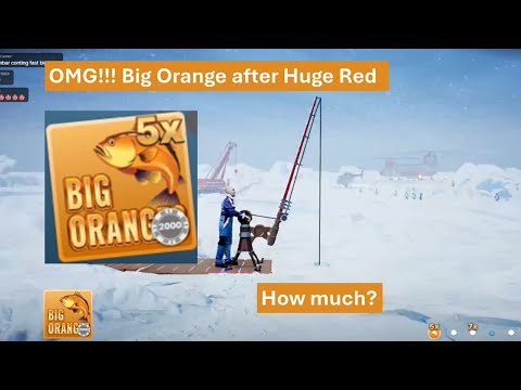 Prøv isfisking i virkeligheten med vårt nye live spill kasino - Spill på nett i Norge