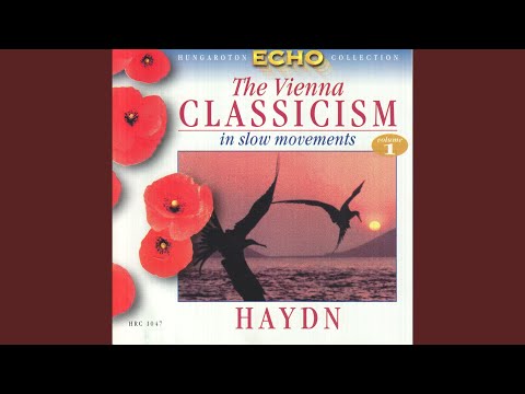 Cello Concerto No. 2 in D major Hob. VIIb: 2 - II. Adagio