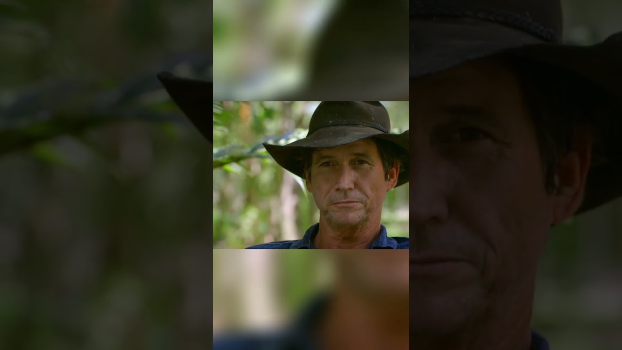 Crocodile Grabbed My Hand and Rotated Death Roll | Outback Rangers