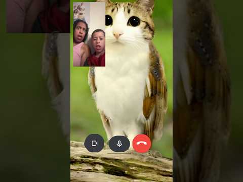 Son and Mom Freak Out When They Got This Call….