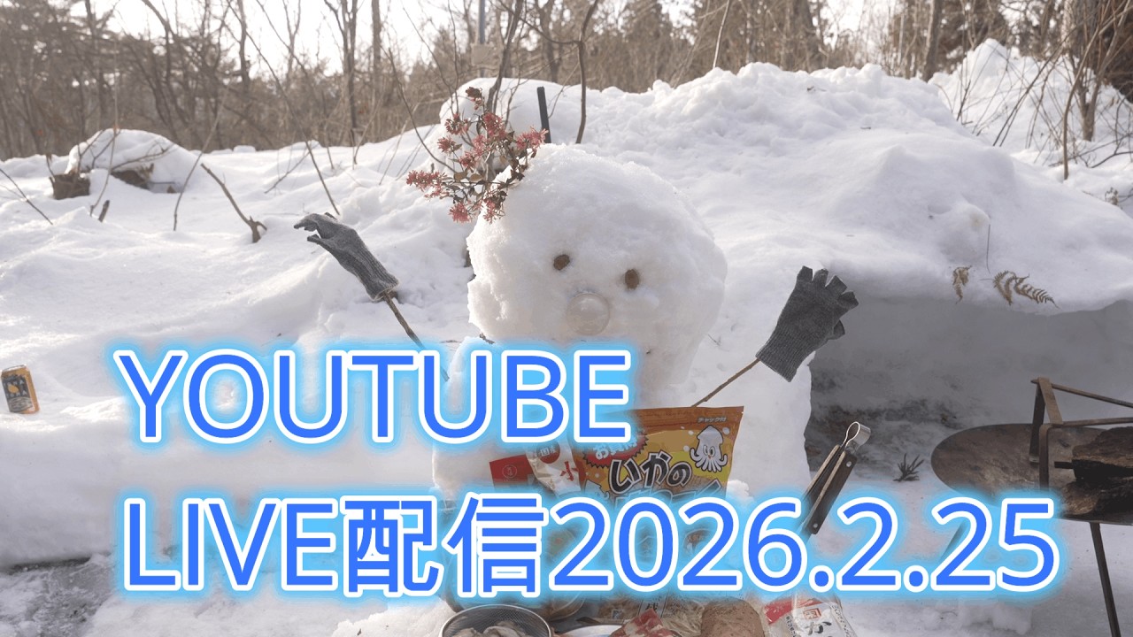あずきDX ライブ配信 生配信 生放送 ストリーミング 作業BGM 聞き流し みんなでお話し会