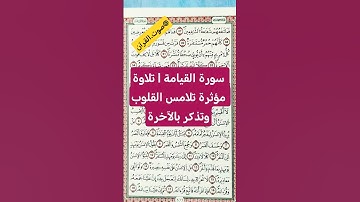 سورة القيامة|تلاوة مؤثرة تلامس القلوب.