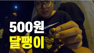 사하라 사막 외딴 도시 야시장 탐방 | 모로코 (4)