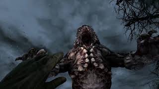 Metro Last Light Bear Boss Fight Bug / Glitch PC Gameplay