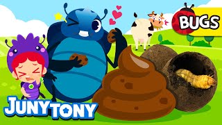 The Dung Beetle Song | 💩Why Do Dung Beetles Like Dung? | Insect Songs for Kids | JunyTony