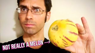 PEPINO MELON - It's Related to Tomatoes, But Tastes Like Melon! (Grown In Algeria!)