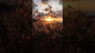 Nineball  Hingga Akhir Waktu status Wa