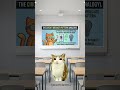 Why Big Apps Don't Crash! 🛑 The Circuit Breaker Pattern Explained 🐱💻