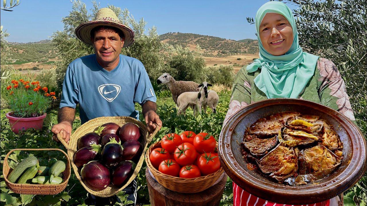 جني الباذنجان الطازج من الحقل لاعداد طاجين شهي على نار الحطب