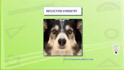 Reflection and Rotational symmetry | Easy understandable for kids