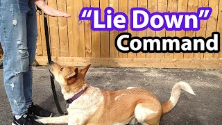 How to Teach a Dog to Lie Down (with HAND SIGNAL!)