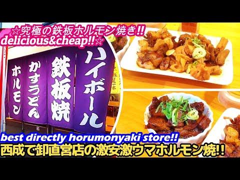 【激安!!西成ホルモンの卸直営店が○○すぎた!!】HANAKO horumonyaki grilled hormone street food japan yakiniku 大阪 焼肉 せんべろ
