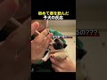 初めて薬を飲んだ子犬の反応