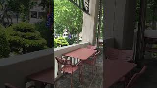 부산박물관_메타세콰이어 테라스