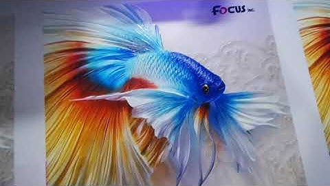 Liquid Paint Marbling Effect painting printing by Atlas-1311