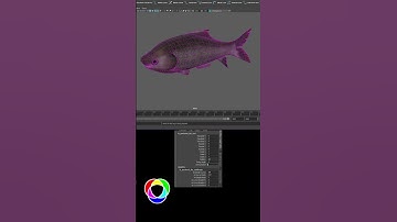 Pectoral Fins Fish Rig Maya Rigging Tutorial