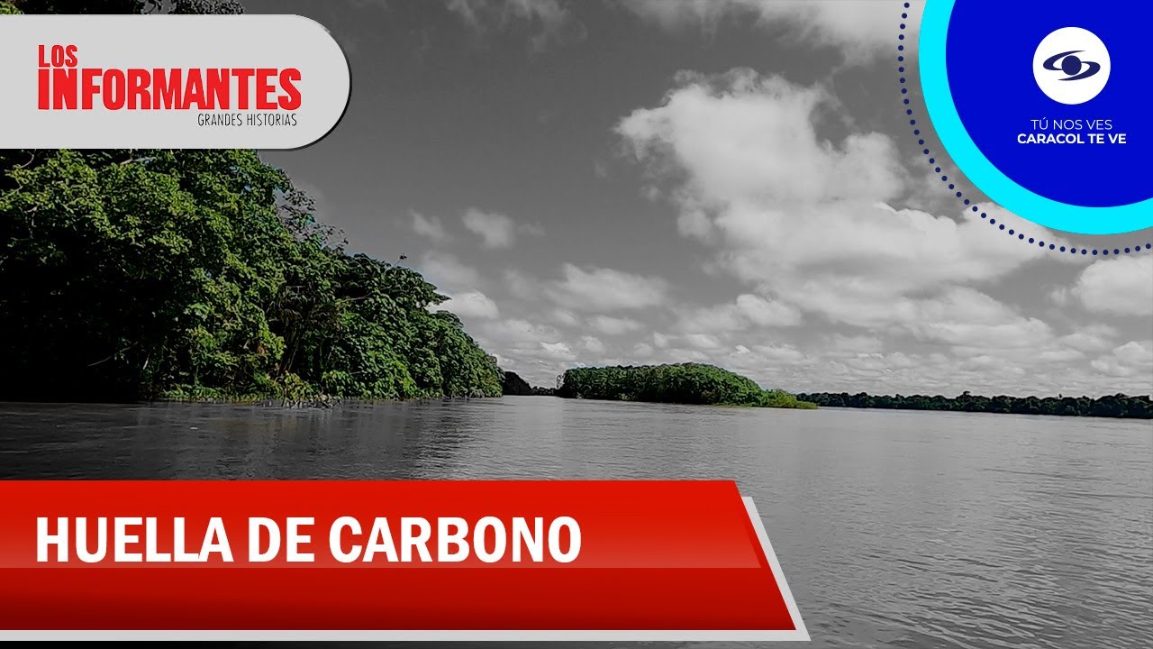 Cómo los bonos de carbono transformaron la economía de La Araracuara y la Amazonía - Los Informantes