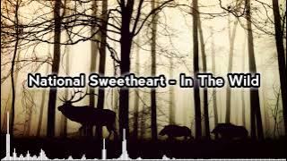 Download lagu National Sweetheart - In The Wild