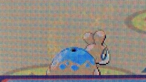 [WSHC #1] Live Shiny Numel 11240 REs!! (Ruby #1)