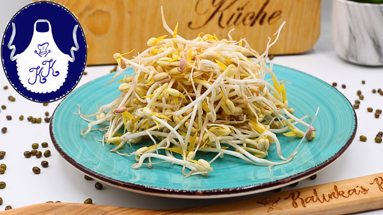 Mungbohnen-Sprossen in 5 Tagen – Ohne Geräte, mit Erfolg!