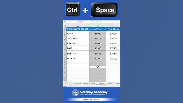 Ctrl + Space Shortcut key in Excel | Shortcut Key in Excel for Select Entire Column