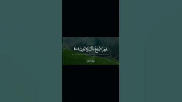 تلاوة خاشعة من سورة الشعراء| بصوت فضيله الشيخ محمد صديق المنشاوي