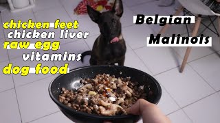 Food for my BELGIAN MALINOIS puppy | his name is CHOPPER!!