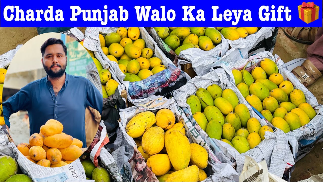 Behtareen Aam Konsa Hai? Pehchan Kese Hoti Hai? Rate Kya Hai? Market