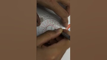 Calm Your Mind with Hypnotic Spirograph Art ASMR #asmrsounds #satisfying #relaxing #spirograph #asmr