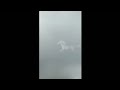A strange phenomenon, a horse in the sky