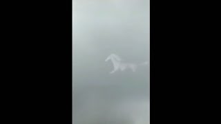 Fenomena aneh, seekor kuda di langit