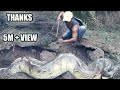 TRAGEDI MENEGANGKAN SAAT MONSTER ULAR PYTHON BESAR PENGUASA TANAH HITAM DI EVAKUASI..!!