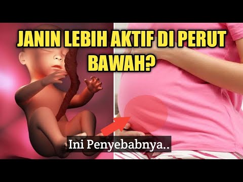 Mengapa Gerakan Janin Terasa Lebih Aktif di Perut Bawah?