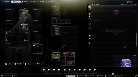 Tarkov inventory bug