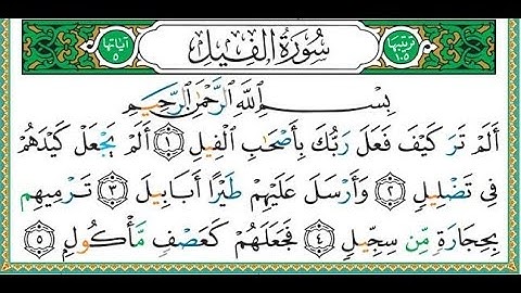 القرآن الكريم سورة الفيل تجويد بصوت القرئ الشيخ خليفة الطنيجي
