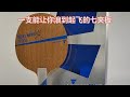 【莫奈叨板】什么球板能让你如同泥娃附体浪到飞起？（VICTAS KOKI NIWA WOOD丹羽孝希纯木）