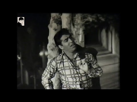 قربون هرچی خوشگله 