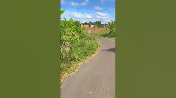 Cần tiền cho con đi du học đành bán đất vườn tâm huyết của gia đình ở BR-VT#shorts